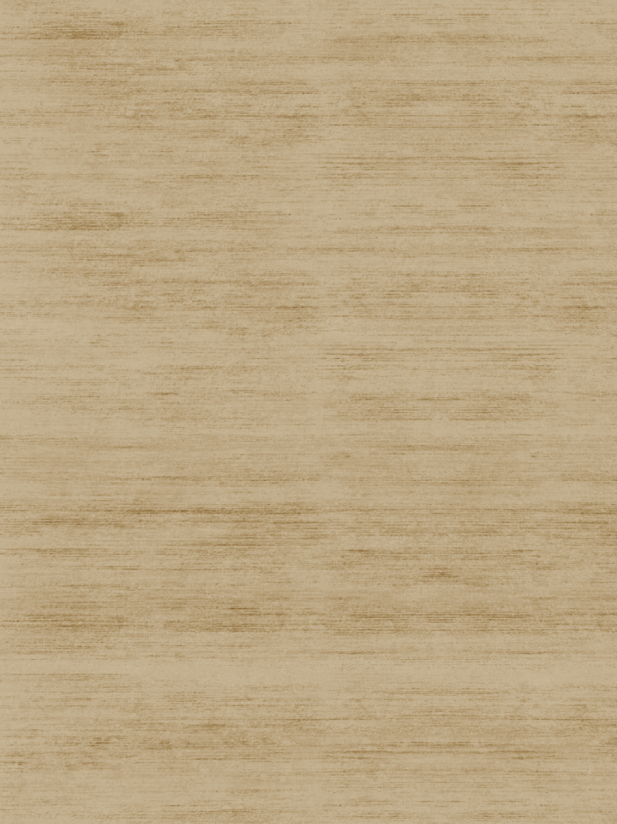 300 x 400 см Textures, Jan Kath