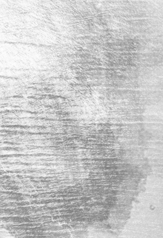 250 x 300 см Sound platinum, Zoë Luyendijk